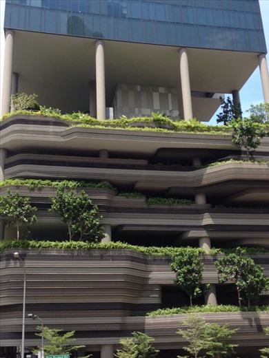 Creating green space