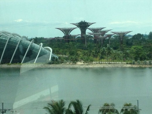 Concrete 'trees' decorated with lights