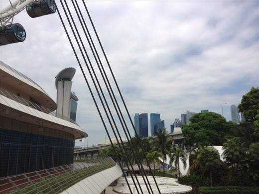 Singapore Flyer
