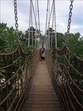 Bridge to southern tip of continent of Asia: by butterfly-freed, Views[622]