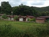 Bungalows on rice field: by butterfly-freed, Views[558]