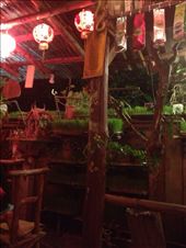 The Good Life cafe, Pai: by butterfly-freed, Views[547]