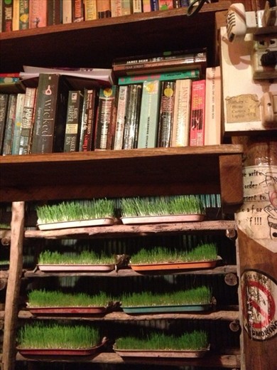 Books & wheatgrass at Good Life