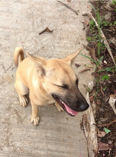 She came to welcome me 'home'