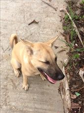 She came to welcome me 'home': by butterfly-freed, Views[547]