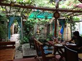 Chill out at the Om Garden cafe: by butterfly-freed, Views[1438]