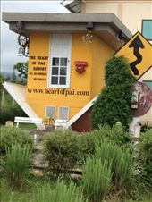 Pai can turn your life upside down!: by butterfly-freed, Views[505]