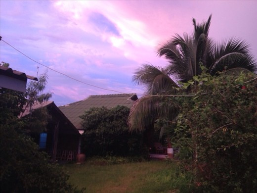 Sunset as seen in my garden