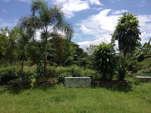 View from my doorstep