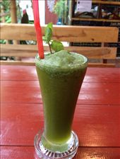 Mint & lime shake: by butterfly-freed, Views[536]