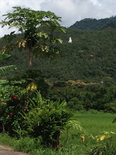 Buddha on the hill