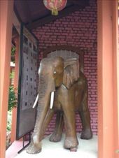 Elephant at Burmese temple: by butterfly-freed, Views[394]