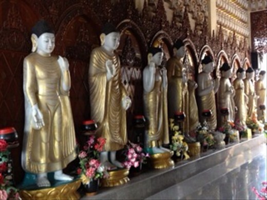 Many standing Buddhas