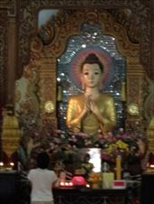 by butterfly-freed, Views[430]