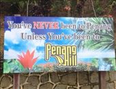 Um ok...!: by butterfly-freed, Views[419]