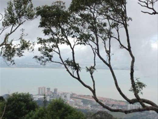 Penang Hill views