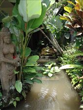 Bliss Bungalows: by butterfly-freed, Views[484]