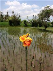 by butterfly-freed, Views[2983]