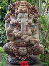 by butterfly-freed, Views[443]