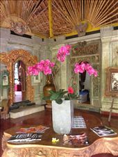 by butterfly-freed, Views[431]