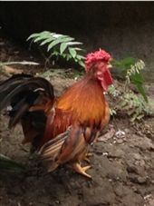 by butterfly-freed, Views[466]