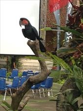 by butterfly-freed, Views[423]