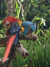 by butterfly-freed, Views[446]