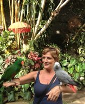 by butterfly-freed, Views[433]