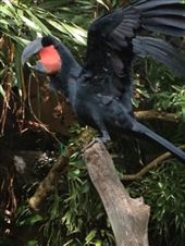 by butterfly-freed, Views[458]