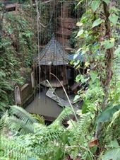 Taksu: by butterfly-freed, Views[590]