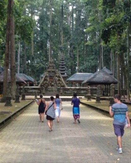 Sangeh Monkey Forest