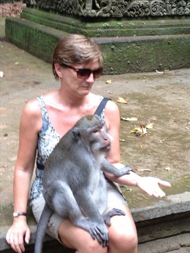 Unsure about these monkeys!