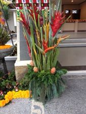 It's all about decorating: by butterfly-freed, Views[478]