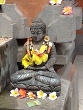 by butterfly-freed, Views[450]