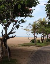 by butterfly-freed, Views[445]