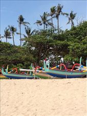 by butterfly-freed, Views[1737]