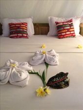 by butterfly-freed, Views[364]