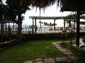 by butterfly-freed, Views[379]