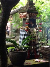 by butterfly-freed, Views[342]