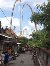 by butterfly-freed, Views[358]