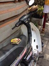 by butterfly-freed, Views[391]