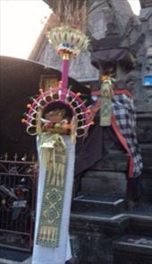 by butterfly-freed, Views[359]