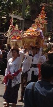 by butterfly-freed, Views[335]