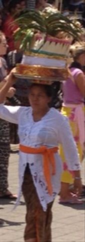 by butterfly-freed, Views[327]