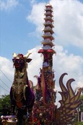 by butterfly-freed, Views[495]