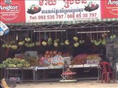 Road side shop: by butterfly-freed, Views[399]
