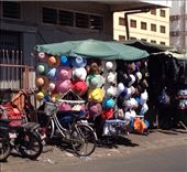 by butterfly-freed, Views[378]