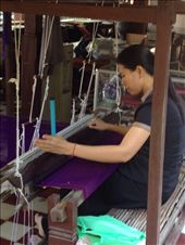 Weaver at work: by butterfly-freed, Views[203]