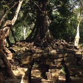 by butterfly-freed, Views[435]