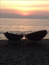 by butterfly-freed, Views[1732]